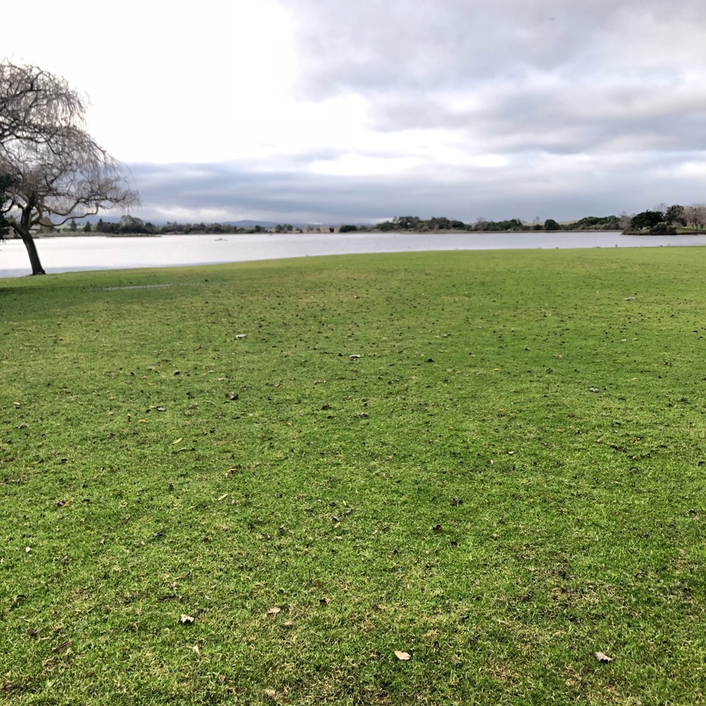 Meet your Posher Dee Lucy